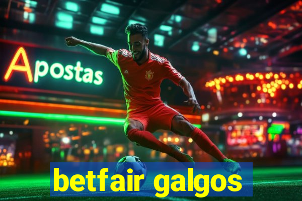 betfair galgos